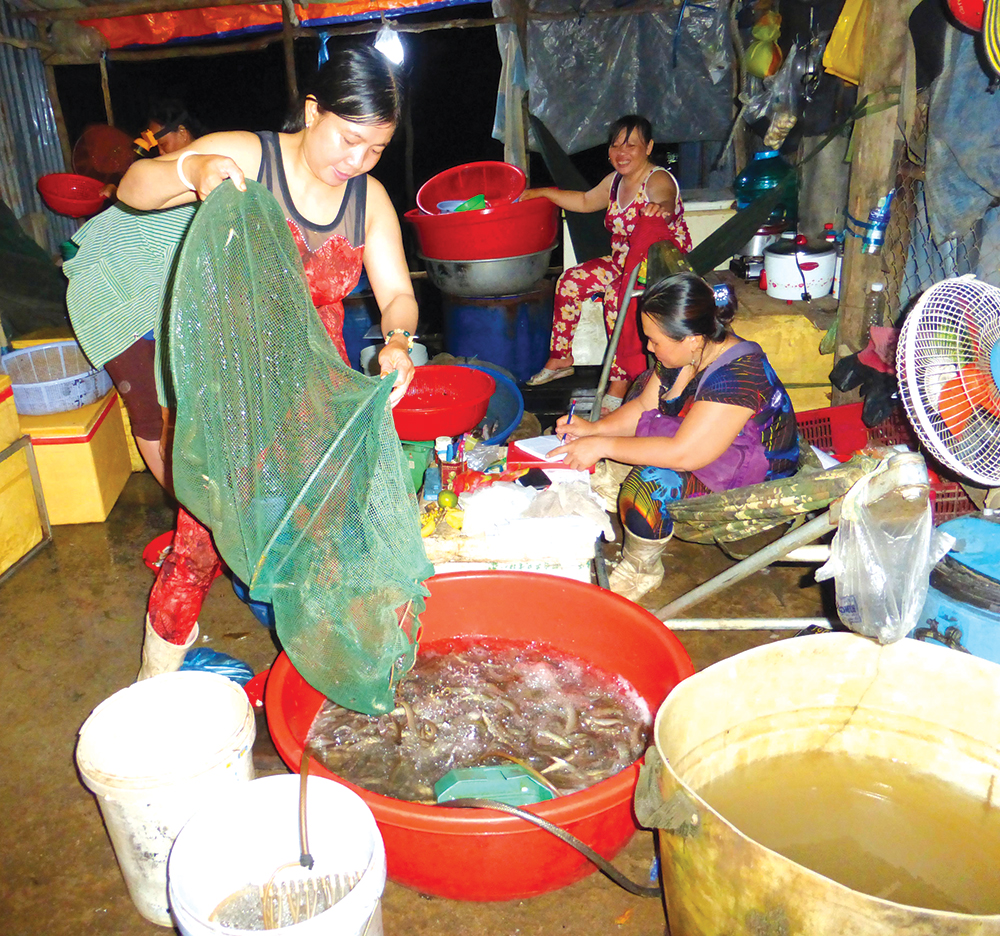 Chợ cá đồng lớn nhất miền Tây