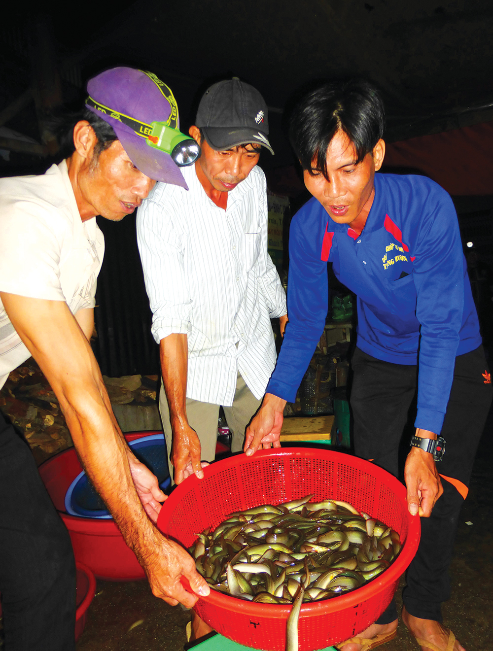 Chợ cá đồng lớn nhất miền Tây