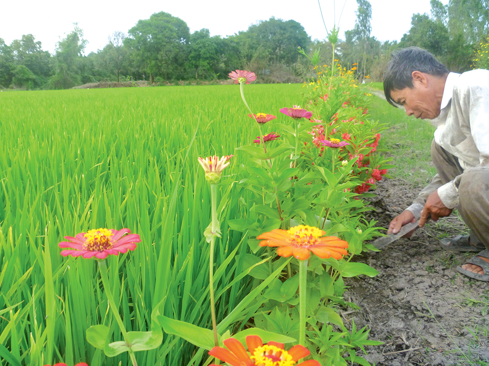 Thoại Giang khẳng định chất lượng nông thôn mới