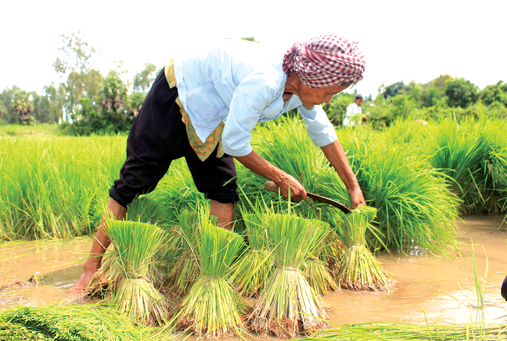 Ngày hội của nụ cười