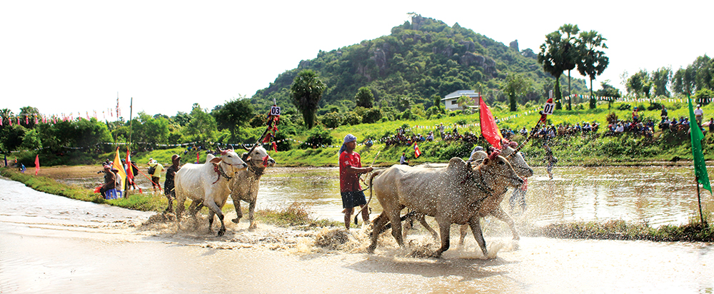 Ngày hội của nụ cười