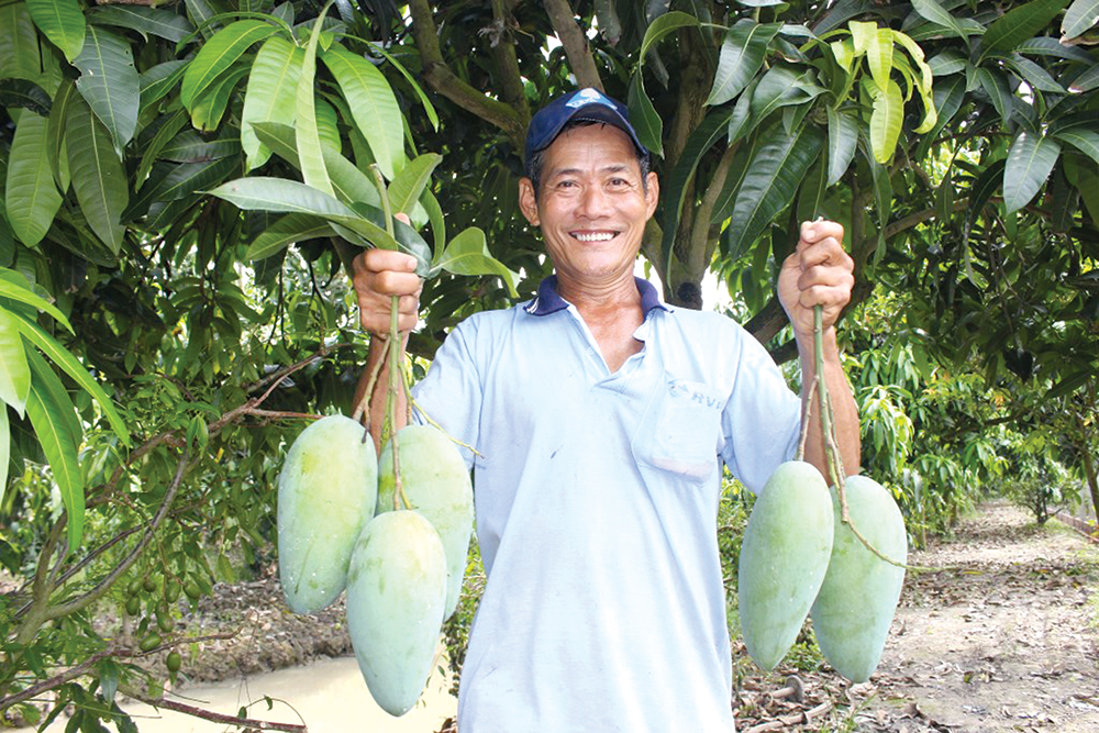 Tăng tốc phát triển ở cù lao Chợ Mới