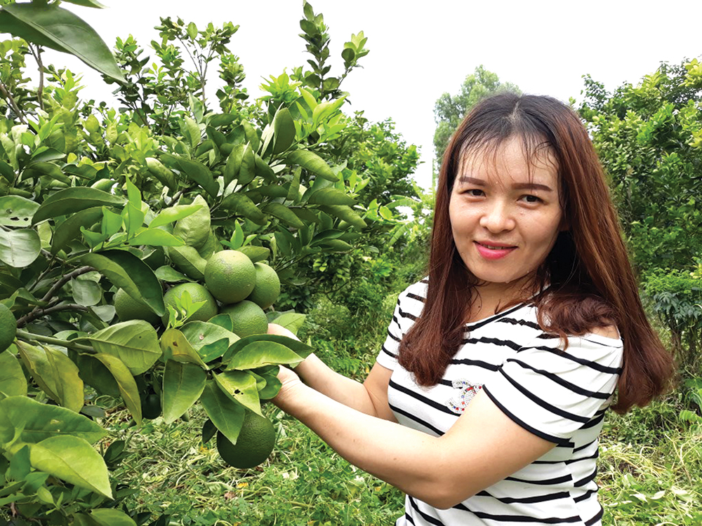Tăng tốc phát triển ở cù lao Chợ Mới