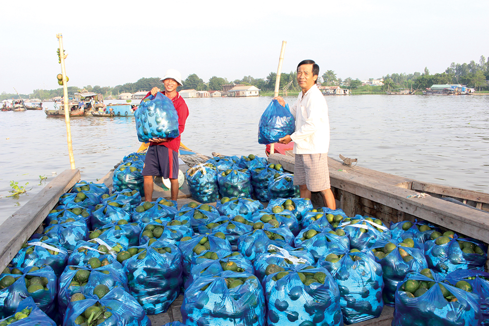 Xuân… thương hồ!