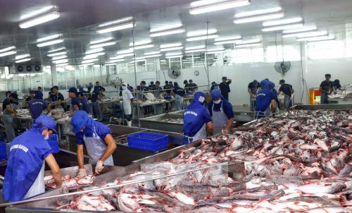 Xuất khẩu cá tra hướng tới mục tiêu 2,4 tỷ USD