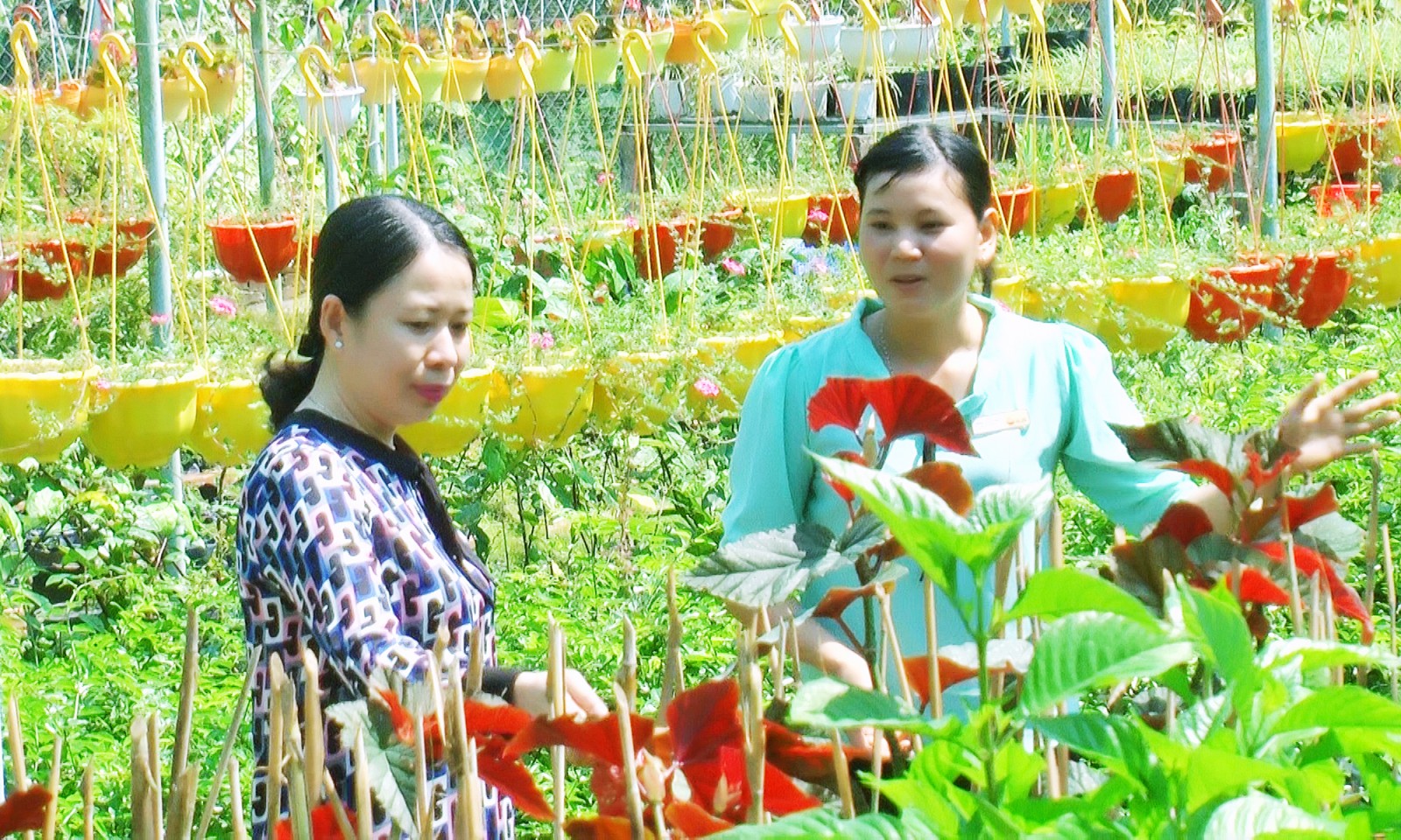 Bí thư Tỉnh ủy Võ Thị Ánh Xuân khảo sát các công trình tại Khu du lịch Núi Cấm
