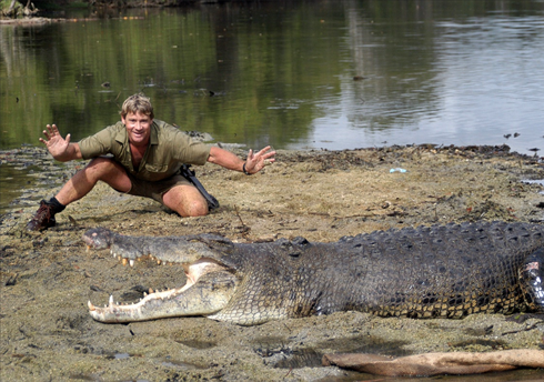 Steve Irwin là ai mà được Google kỷ niệm ngày sinh lần thứ 57?