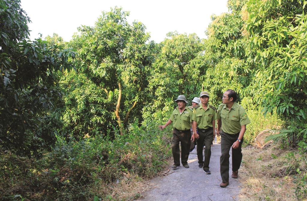 Ứng phó nguy cơ cháy rừng mùa khô