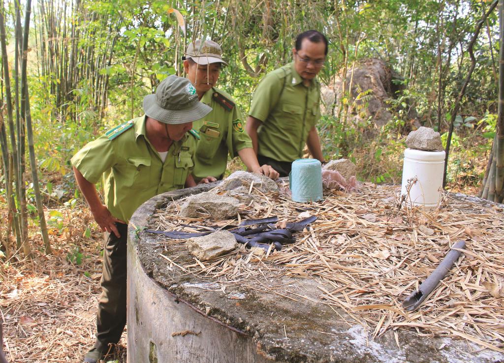 Ứng phó nguy cơ cháy rừng mùa khô