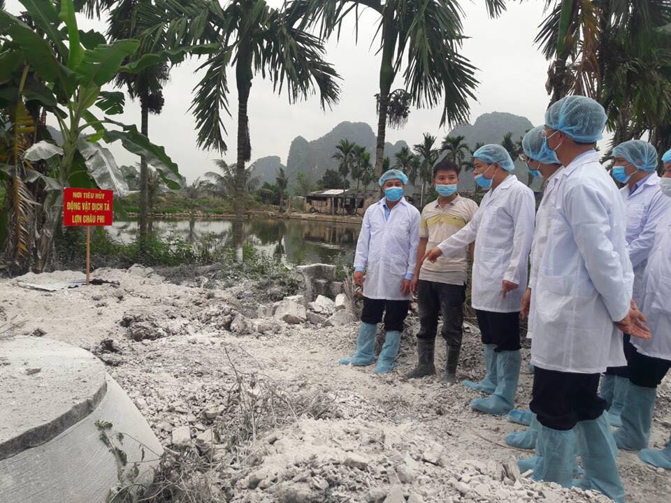 Dập dịch tả lợn Châu Phi: Nêu cao vai trò địa phương