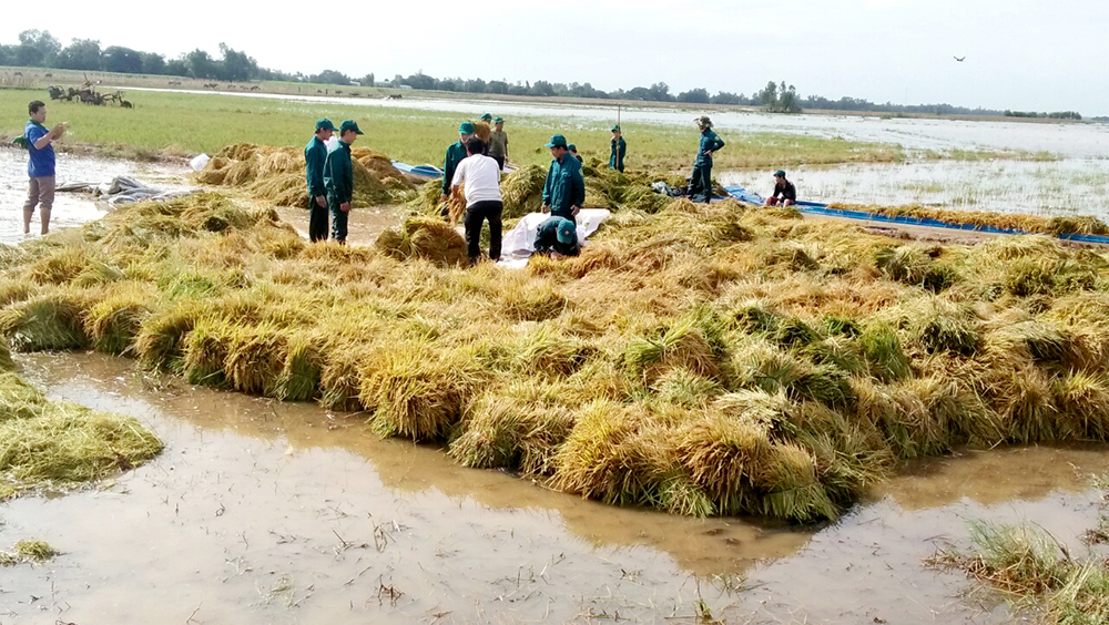 “Dân vận khéo” trong lực lượng vũ trang “Dân vận khéo” trong lực lượng vũ trang