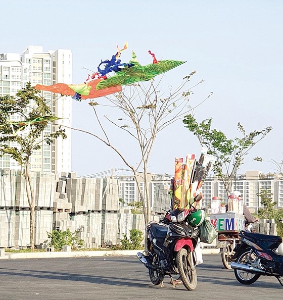 Mùa diều về phố