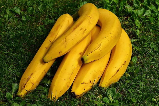 Không phải cà phê, 14 thực phẩm lành mạnh này sẽ đánh bại cơn buồn ngủ ngay