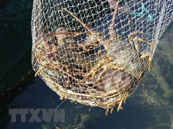 Kim ngạch xuất khẩu thủy sản 2 tháng đầu năm tăng 4,4%
