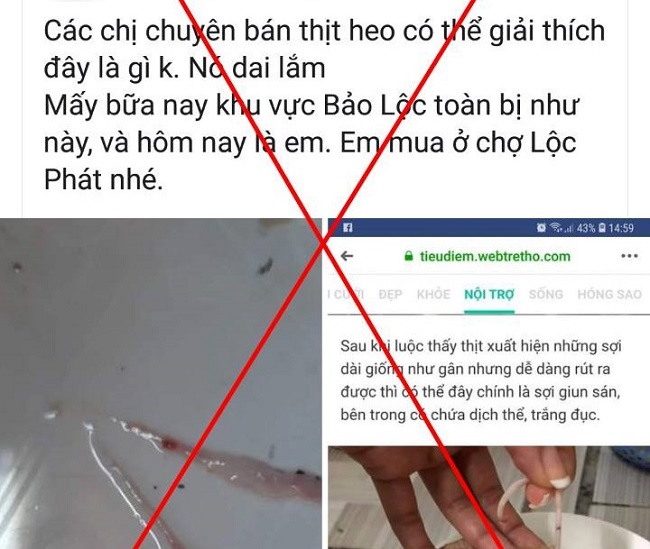 Bị phạt 10 triệu đồng vì tung tin sai sự thật thịt heo nhiễm sán lên facebook