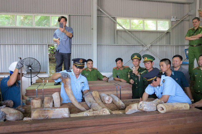 Bắt 9 tấn ngà voi nhập lậu, lớn nhất từ trước đến nay tại cảng Tiên Sa
