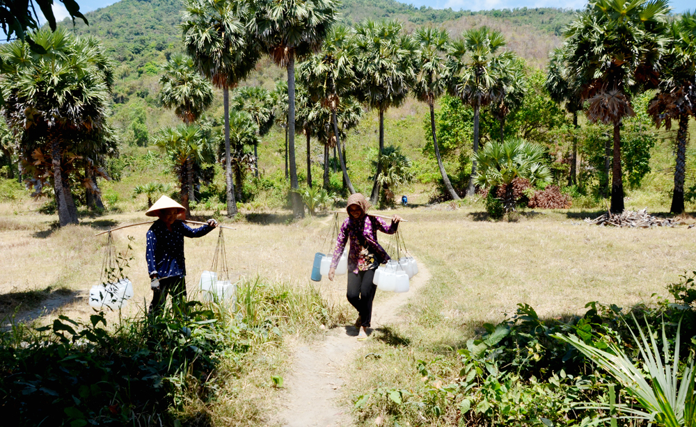Hấp dẫn đặc sản từ cây thốt nốt Bảy Núi