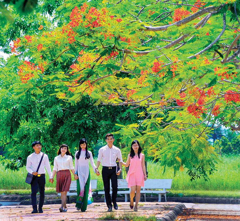Sắc hoa mùa hạ! Sắc hoa mùa hạ!