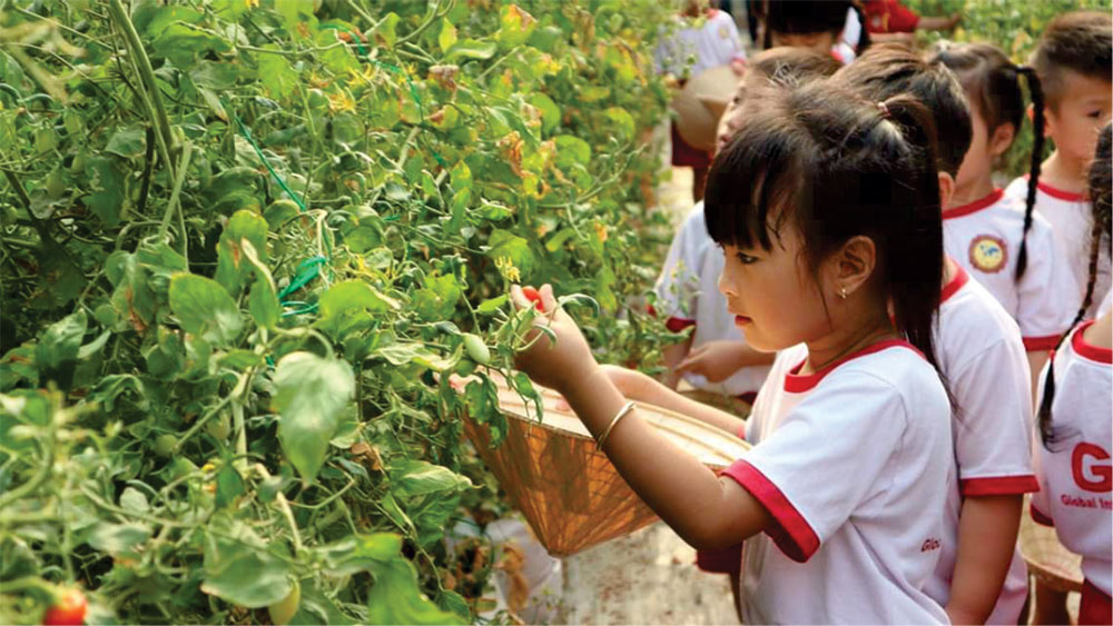 Phát triển du lịch canh nông kết hợp giáo dục học đường