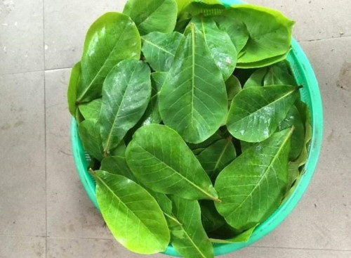 Mẹo nhỏ đánh bay nhiệt miệng sau 1 đêm