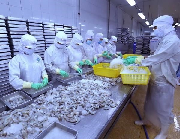 Bộ Thương mại Mỹ công bố mức thuế sơ bộ 0% với tôm Việt Nam
