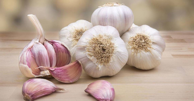 Tin vui cho những người thích ăn tỏi