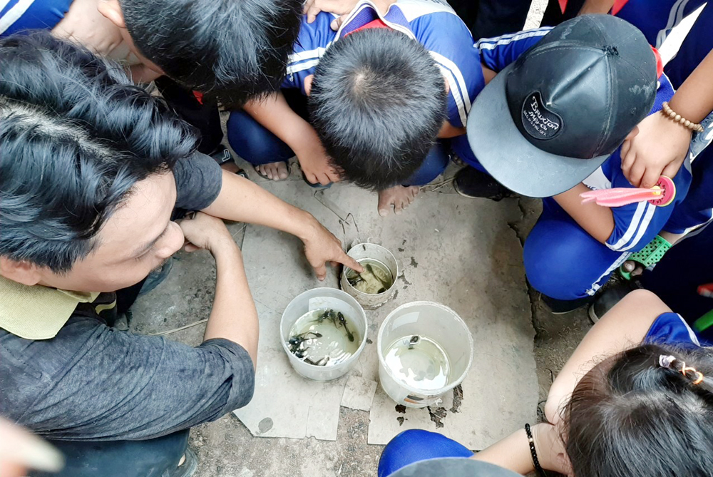 Học sinh Phú Tân hào hứng với hoạt động trải nghiệm sáng tạo