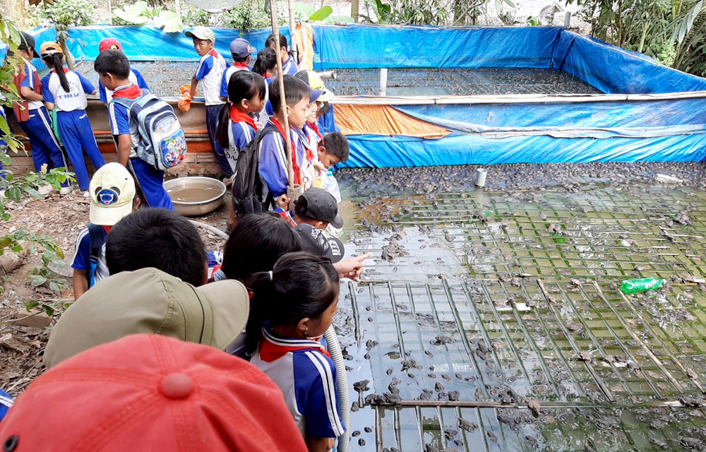 Học sinh Phú Tân hào hứng với hoạt động trải nghiệm sáng tạo