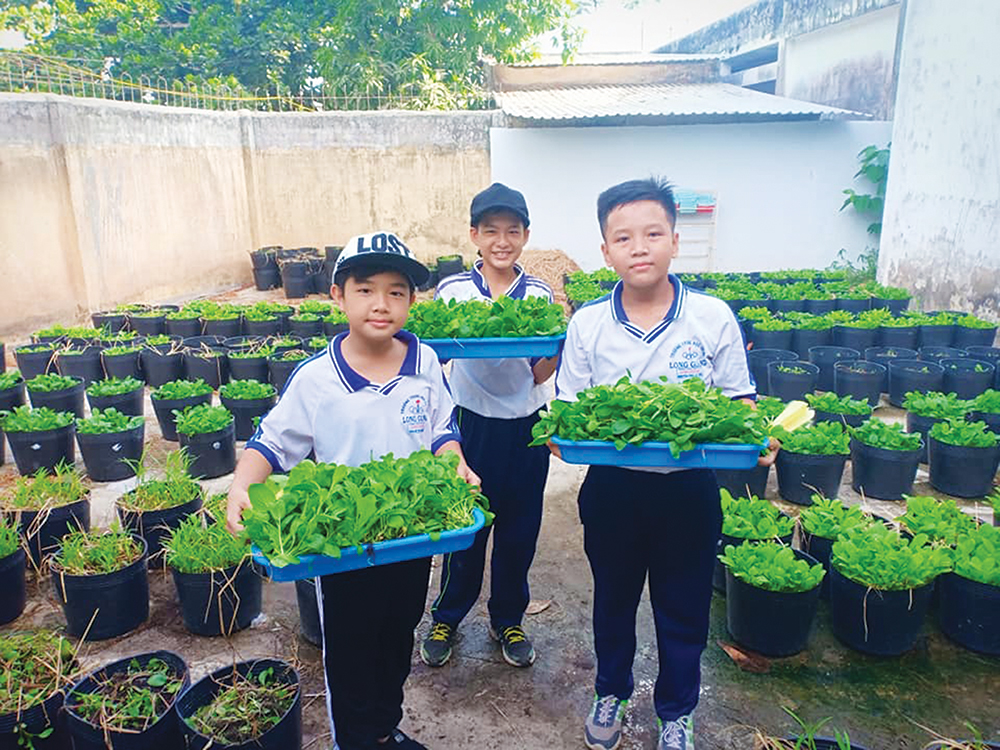 Học sinh tự trồng vườn rau sạch Học sinh tự trồng vườn rau sạch
