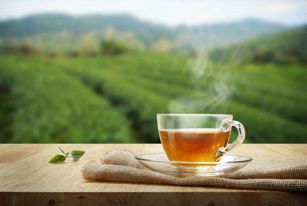 Rượu vang đỏ, trà hay cà phê thì có lợi hơn cho cơ thể?