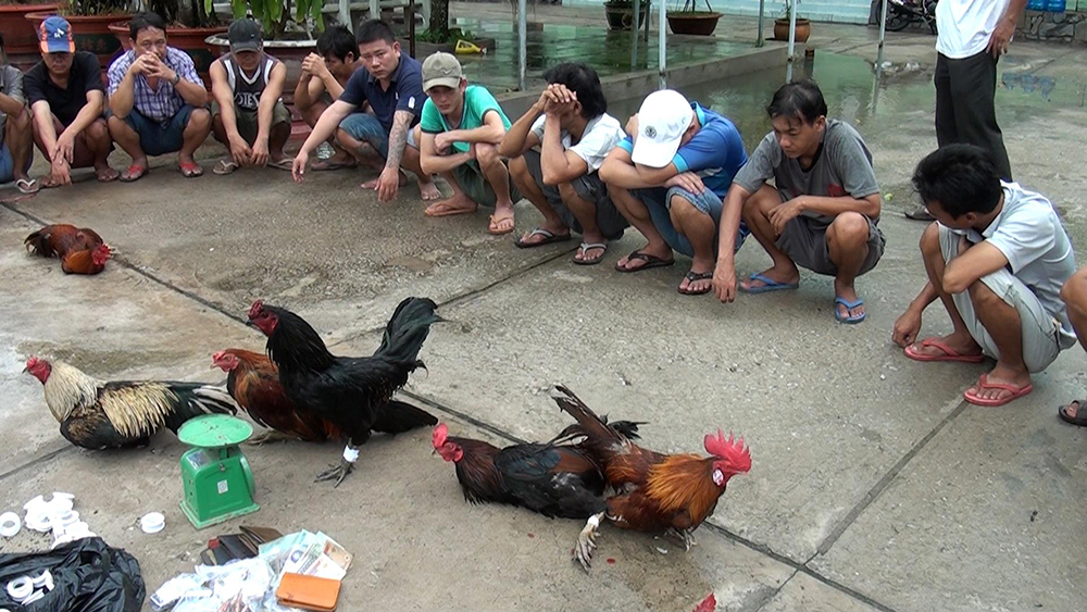 Thực trạng và giải pháp cảm hóa, giáo dục thanh niên thời hội nhập - Kỳ 1: Thực trạng thanh niên trước cơn lốc thời hội nhập Thực trạng và giải pháp cảm hóa, giáo dục thanh niên thời hội nhập - Kỳ 1: Thực trạng thanh niên trước cơn lốc thời hội nhập