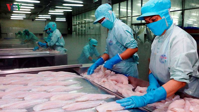 Cá tra Việt Nam chinh phục ngoạn mục thị trường Nhật Bản