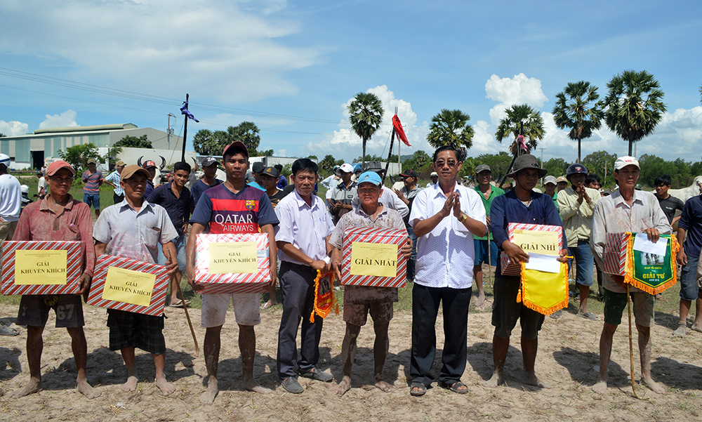 Hấp dẫn Giải đua bò tốc độ huyện Tịnh Biên năm 2019 Rất đông người dân và du khách đến xem các đôi bò tranh tài