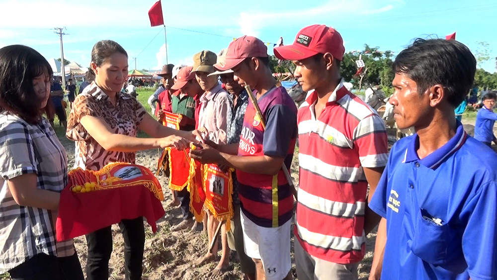 Hấp dẫn Giải đua bò tốc độ huyện Tịnh Biên năm 2019 Hấp dẫn Giải đua bò tốc độ huyện Tịnh Biên năm 2019