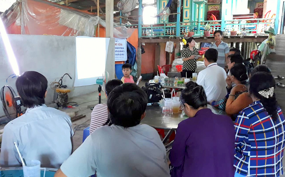 Trồng nấm rơm trong nhà bằng rơm trộn bông vải Trồng nấm rơm trong nhà bằng rơm trộn bông vải