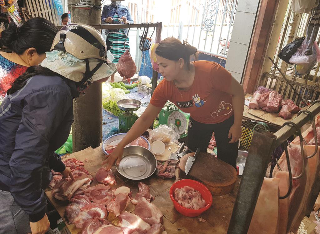 Thực hiện “4 tại chỗ” trong ngăn chặn dịch tả heo Châu Phi