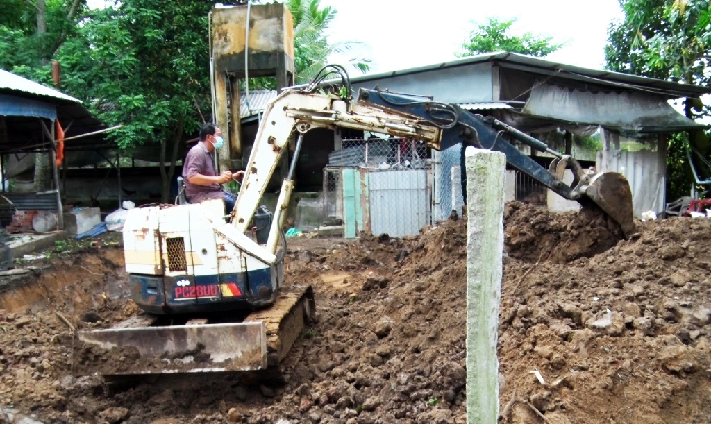An Giang công bố dịch tả heo Châu Phi