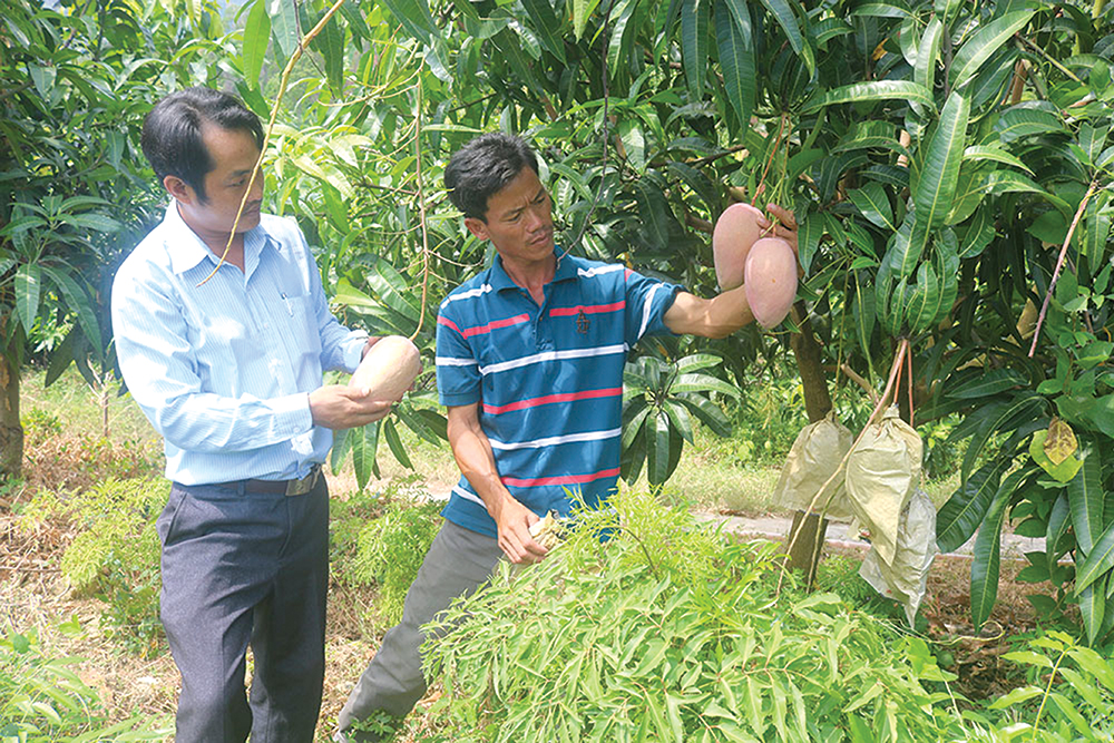 Nông dân Lê Trì đoàn kết giúp nhau làm giàu Nông dân Lê Trì đoàn kết giúp nhau làm giàu