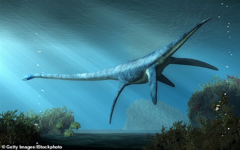 Tìm thấy họ hàng quái vật hồ Loch Ness khổng lồ