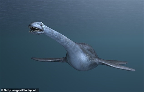 Tìm thấy họ hàng quái vật hồ Loch Ness khổng lồ