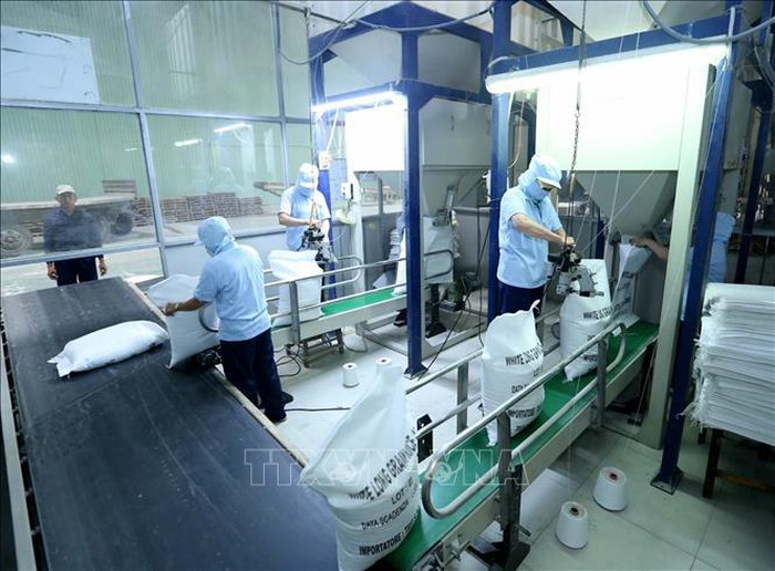 Nhu cầu yếu khiến giá gạo Ấn Độ và Việt Nam đi xuống Giá gạo xuất khẩu của Ấn Độ và Việt Nam giảm trong tuần này do nhu cầu khá yếu, trong khi việc đồng baht mạnh lên làm giảm sức cạnh tranh của gạo Thái Lan vào thời điểm nhà xuất khẩu gạo lớn thứ hai thế giới này đang nỗ lực tìm kiếm những đơn hàng mới.
