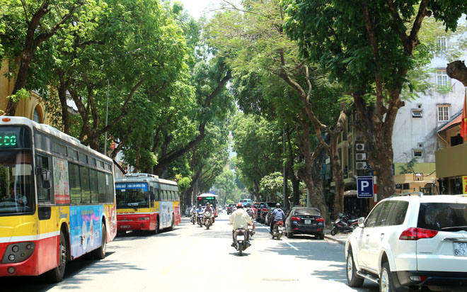 Thời tiết ngày 15-6: Các tỉnh miền Bắc đón mưa dông diện rộng, Trung Bộ nắng nóng trên 38 độ C