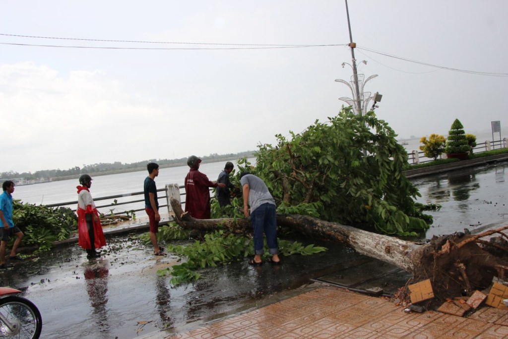 Mưa lớn kèm giông, gió mạnh, khiến nhiều cây cối đổ ngã tại TX. Tân Châu