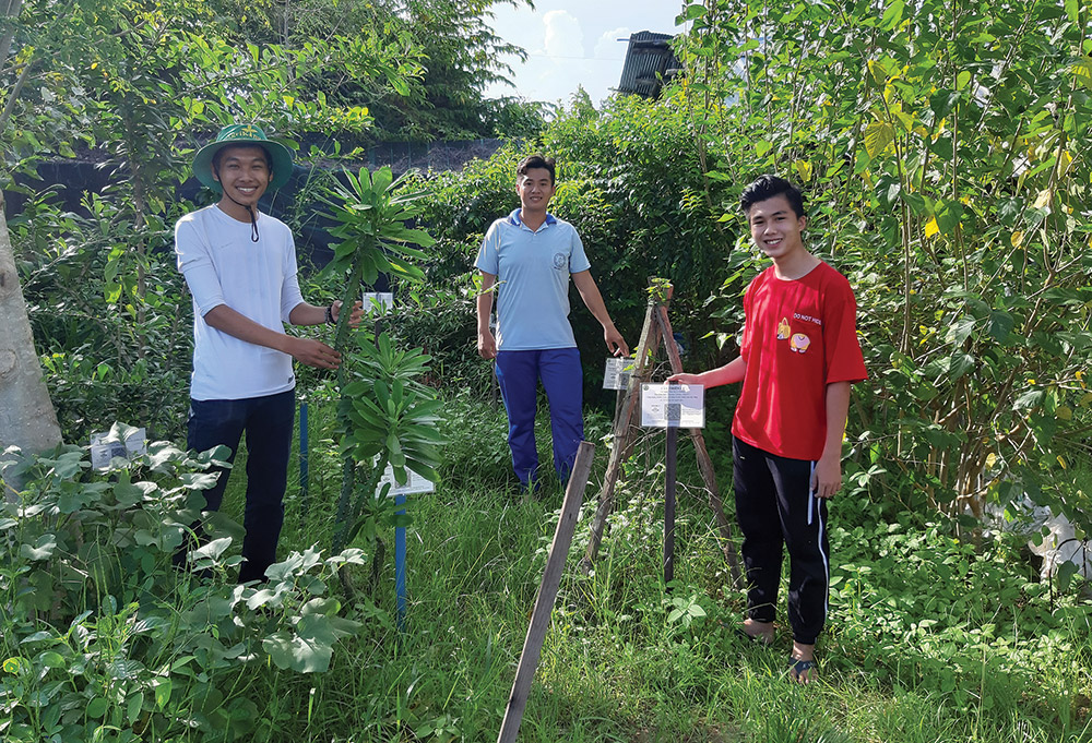 Câu lạc bộ Vườn thuốc nam - hoạt động nhỏ, ý nghĩa lớn Các thành viên Câu lạc bộ vườn thuốc nam luôn say mê với công việc