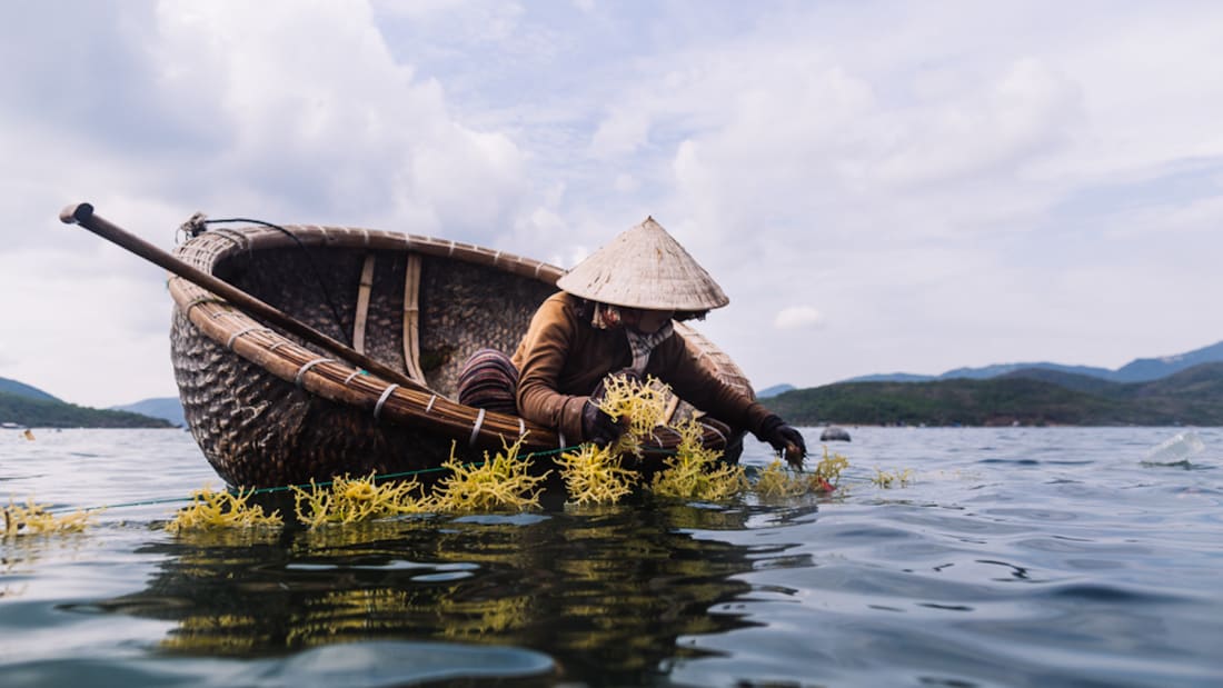 CNN ca ngợi Hội An là một trong những đô thị cổ đẹp nhất Đông Nam Á