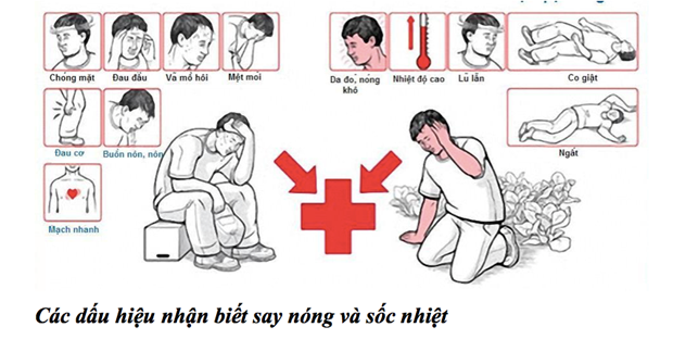 2 người tử vong do sốc nhiệt, cách bảo vệ sức khỏe khi trời nóng?
