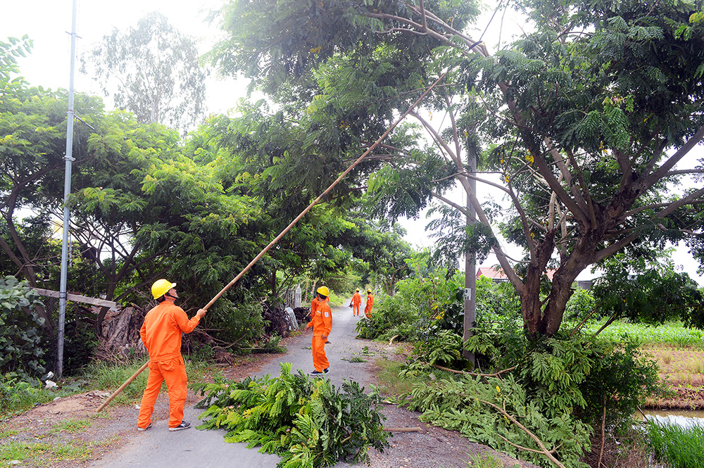 Công ty Điện lực An Giang tổ chức diễn tập phòng chống thiên tai và tìm kiếm cứu nạn