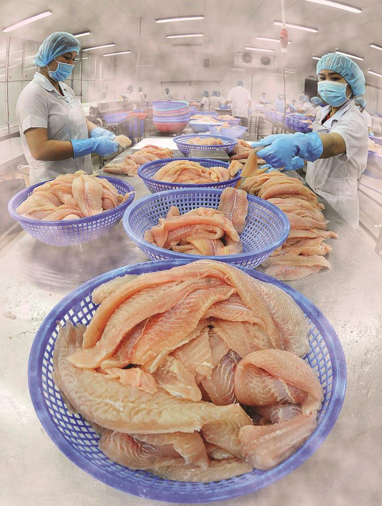Tập trung hoàn thành nhiệm vụ kinh tế - xã hội năm 2019