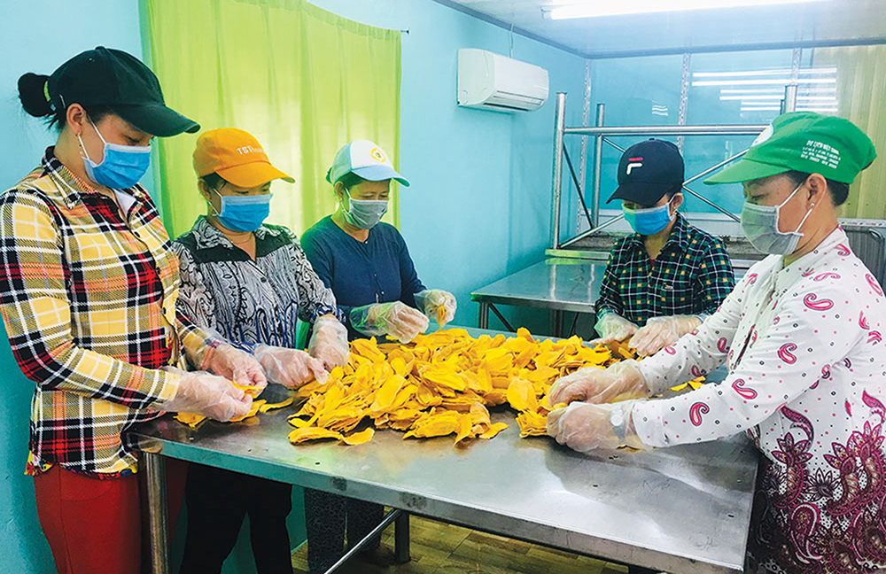 Đưa xoài sấy, mực sấy, vỏ bưởi sấy vươn xa Đưa xoài sấy, mực sấy, vỏ bưởi sấy vươn xa