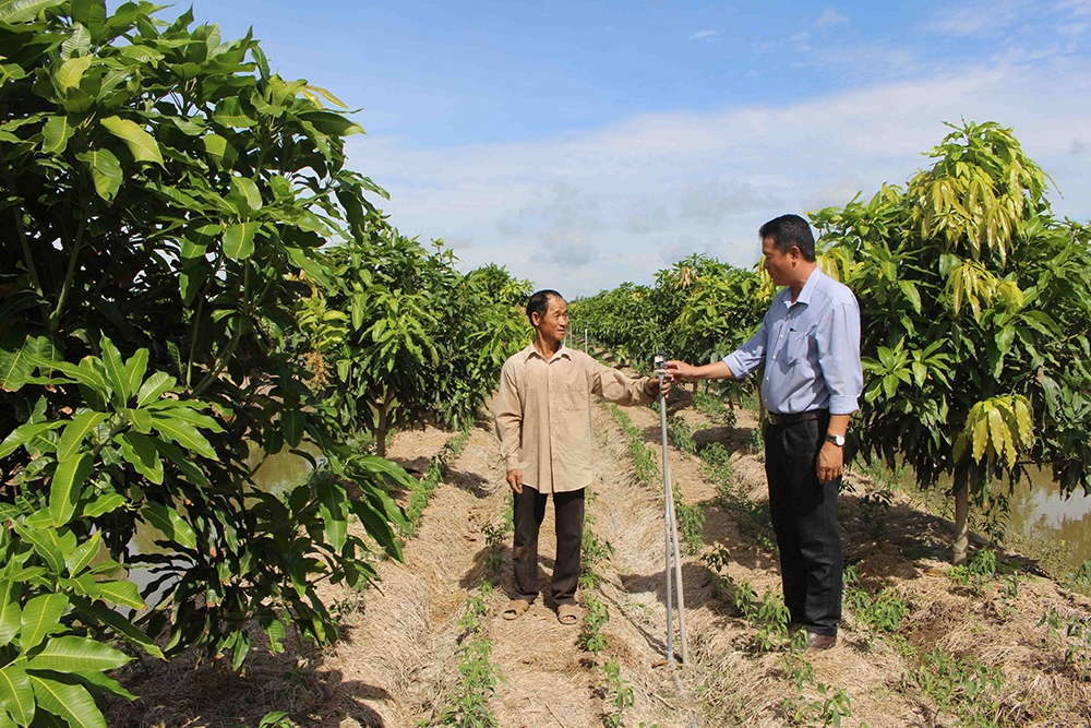 Nông nghiệp ứng dụng công nghệ cao góp phần thay đổi nhận thức nông dân